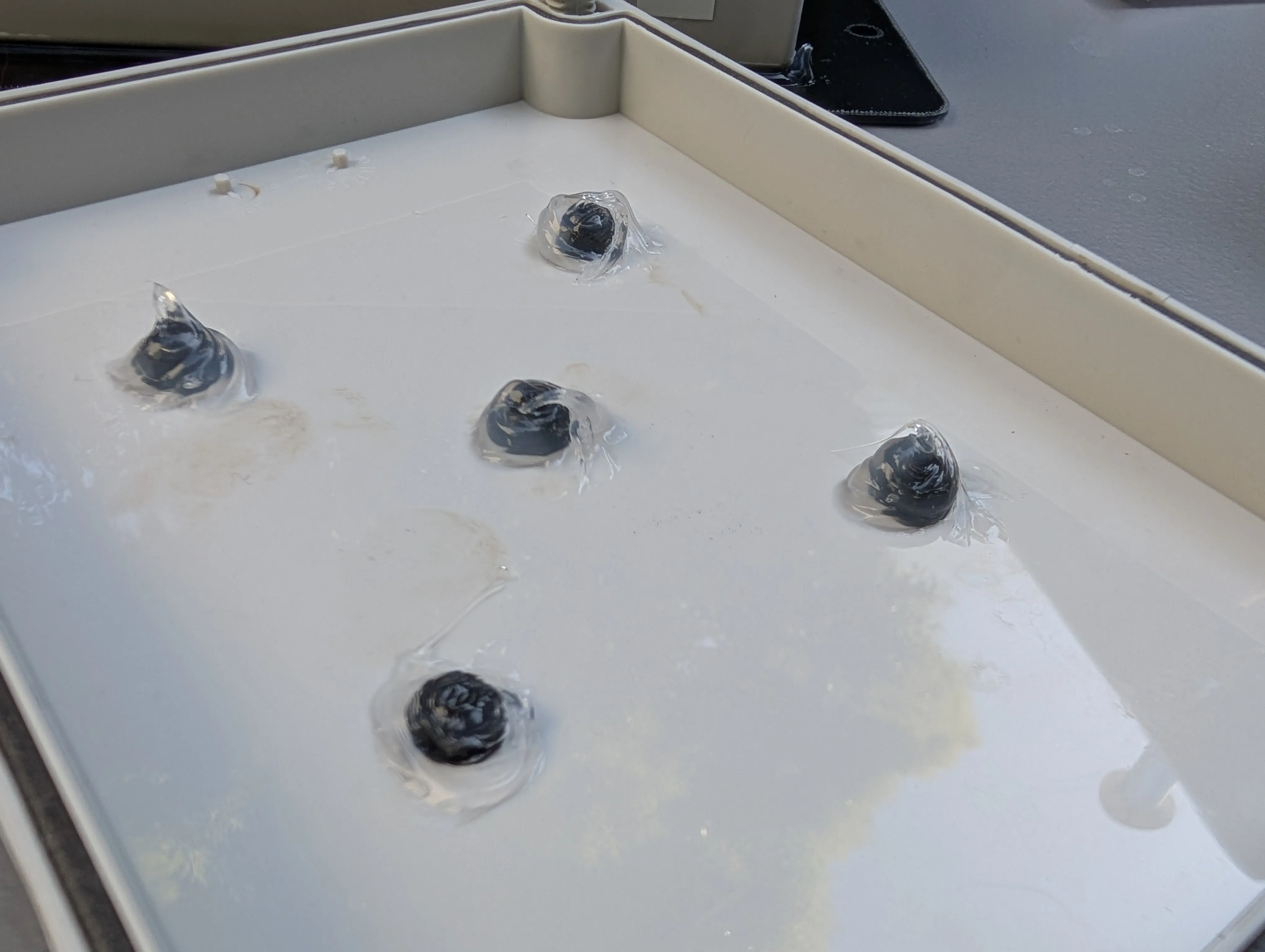 Sealant Application Detail - Close-up of sealant application ensuring complete weatherproof seal around enclosure edges